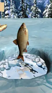 Winter Fishing 3D screenshot 6