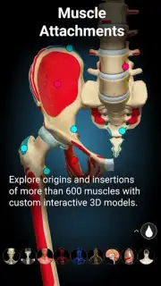 3D Anatomy Learning screenshot 2