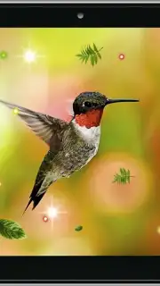 Colibri Spring 3D LWP screenshot 4