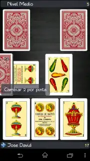Briscola screenshot 11