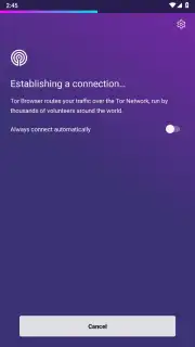 Tor Browser screenshot 24