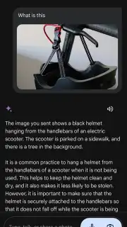 Google Gemini screenshot 17