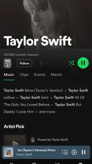 Spotify screenshot 26
