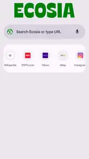 Chrome Beta screenshot 24