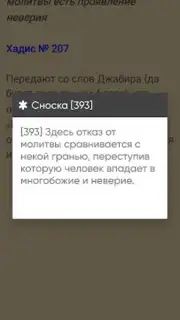 САХИХ МУСЛИМ screenshot 2