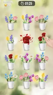 Zen Blossom screenshot 8