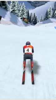 Winter Sports Mania screenshot 4