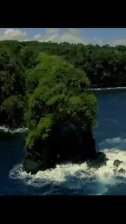 Paris Video Downloader screenshot 3