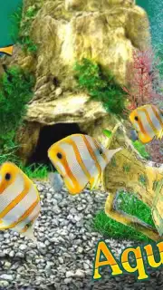 AquaLife 3D screenshot 8