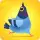 Pigeon Pop